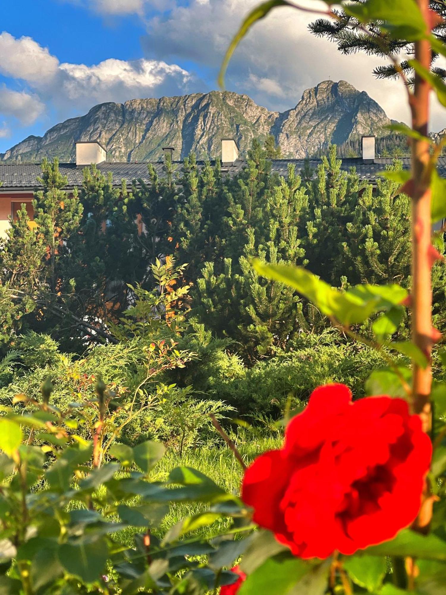Apartament Lesny Z Kominkiem - Viva Pod Giewontem Apartamenty Zakopane Esterno foto
